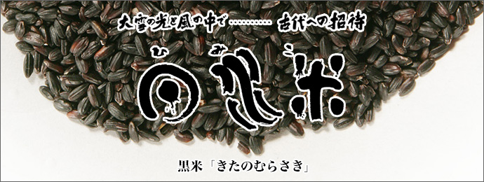 黒米「きたのむらさき」