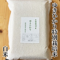 ゆきひかり白米　5㎏