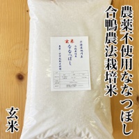 無農薬ななつぼし玄米10kg